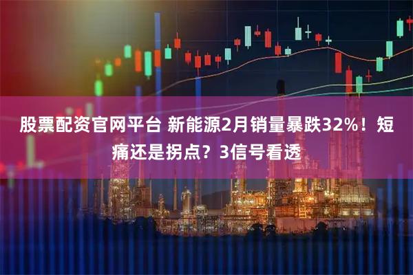 股票配资官网平台 新能源2月销量暴跌32%！短痛还是拐点？3信号看透