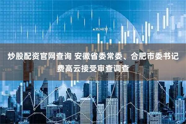 炒股配资官网查询 安徽省委常委、合肥市委书记费高云接受审查调查